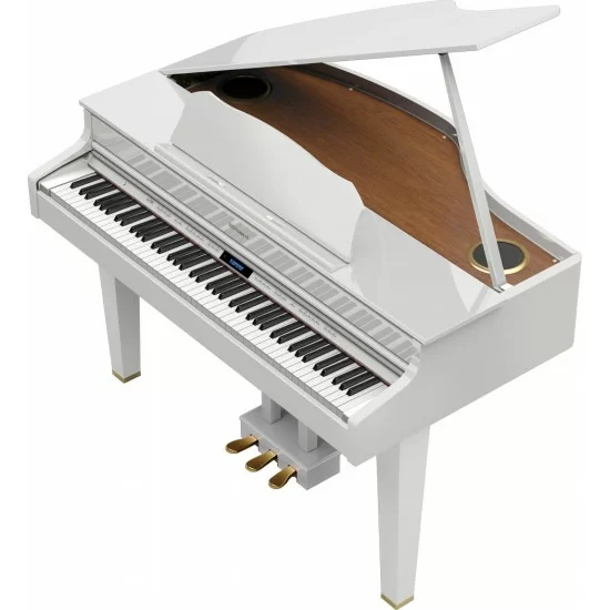 Roland gp on sale